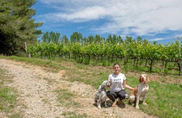 Fattoria Uccelliera Villa Lorenzana Dış mekan fotoğraf